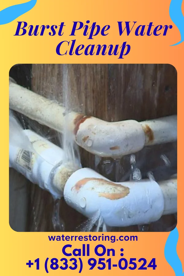 Burst Pipe Water Cleanup in Plainville, IN